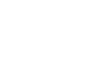 ProBridge